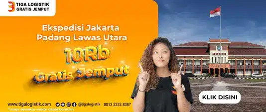 Ekspedisi Jakarta Padang Lawas Utara Free Pickup 081323338286