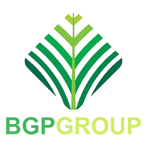 Bgp Group